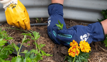 Community Gardening Series