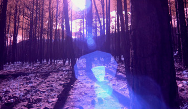 LANDSCAPES : TECHNOLOGIES : BODIES