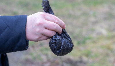 Dog poo