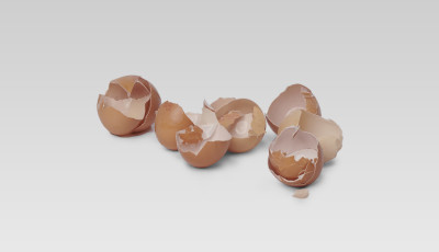 Egg Shells