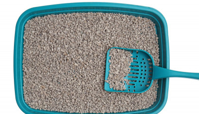 Kitty litter